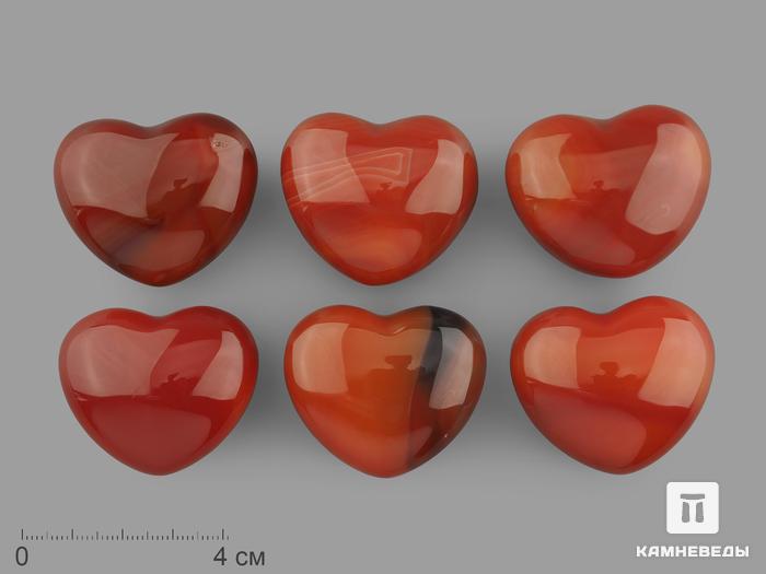 Сердце из сердолика, 4х3,5х2 см, 16345, фото 1
