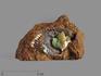 Анапаит в раковине, 6,7х4х2,3 см, 15878, фото 1