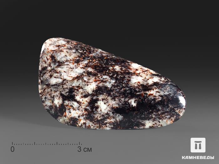 Астрофиллит в альбите, полированная галька 7,2х3,9х0,9 см, 16020, фото 1