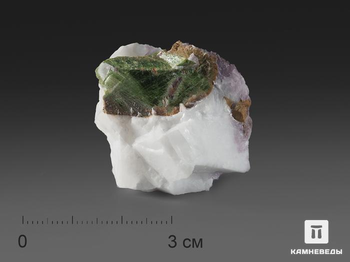 Титанит в кальците в пластиковом боксе, 3,5х3х2,1 см, 15767, фото 1