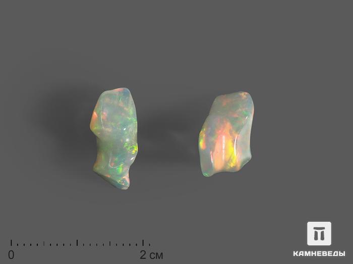 Опал благородный, галтовка 1,5х1х0,5 см (2,5 ct), 16174, фото 1
