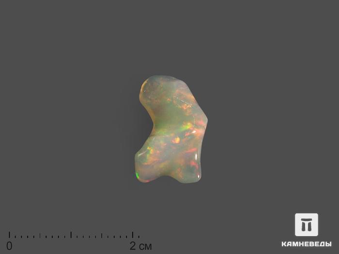Опал благородный, галтовка 1,7х1,1х0,8 см (5,35 ct), 16176, фото 1