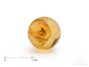 Шар из янтаря с инклюзом, 14-15 мм