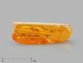 Янтарь с инклюзом в пластиковом боксе, 2х0,7х0,5 см