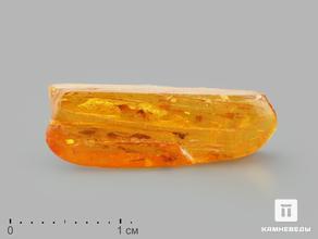Янтарь с инклюзом в пластиковом боксе, 2х0,7х0,5 см