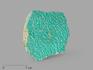 Амазонит, полированный срез 15х14,5х6,5 см, 16696, фото 1