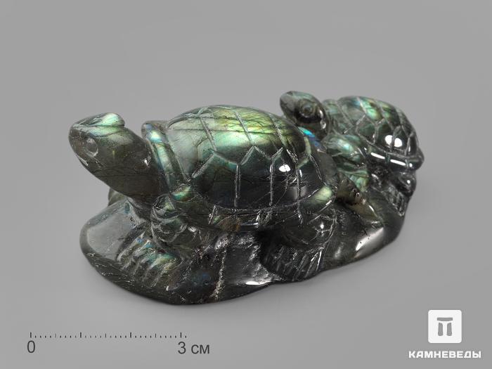 Черепахи из лабрадора, 8,7х5,1х3,5 см, 16434, фото 1