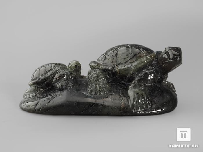 Черепахи из лабрадора, 8,7х5,1х3,5 см, 16434, фото 2