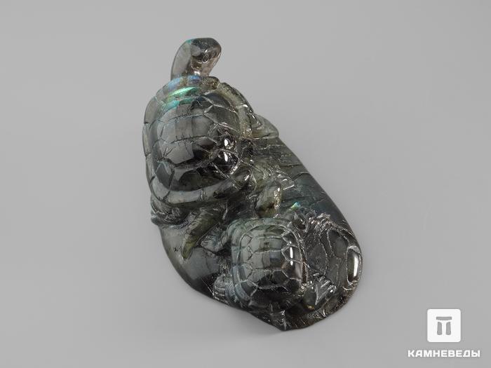 Черепахи из лабрадора, 8,7х5,1х3,5 см, 16434, фото 3