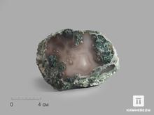 Агат моховой, полированный срез 11,5х8х1,3 см