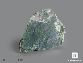 Агат моховой, полированный срез 10х9,2х2,3 см