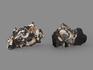 Аммониты с перламутром в породе, 8,5-14,5 см, 17078, фото 2