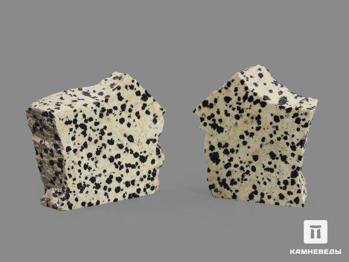 Яшма далматиновая (трахириодацит), полированный срез 4,5-5 см, 16689, фото 2