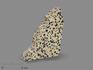 Яшма далматиновая (трахириодацит), полированный срез 5,5-6 см, 16694, фото 1