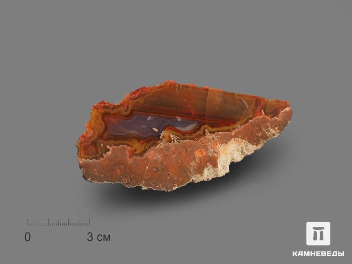 Агат (халцедоновый оникс), полированный срез 12,5х5х3 см, 16907, фото 1