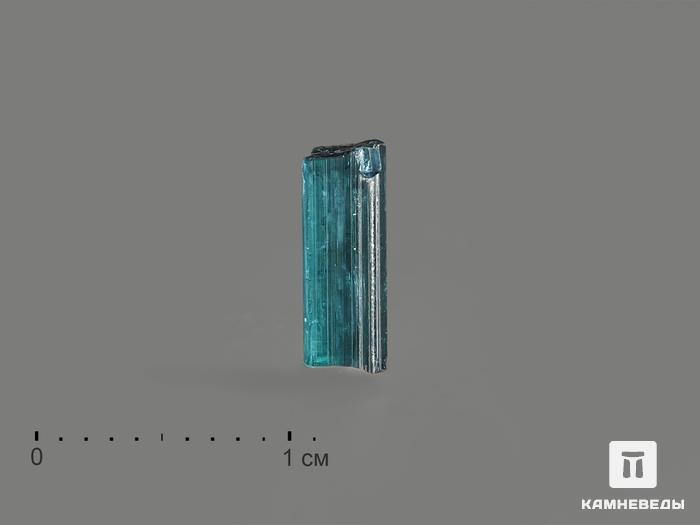 Турмалин (индиголит), кристалл 0,8х0,3 см, 17216, фото 1