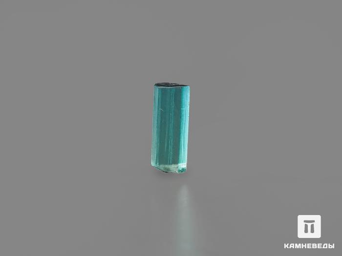 Турмалин (индиголит), кристалл 0,8х0,3 см, 17216, фото 3