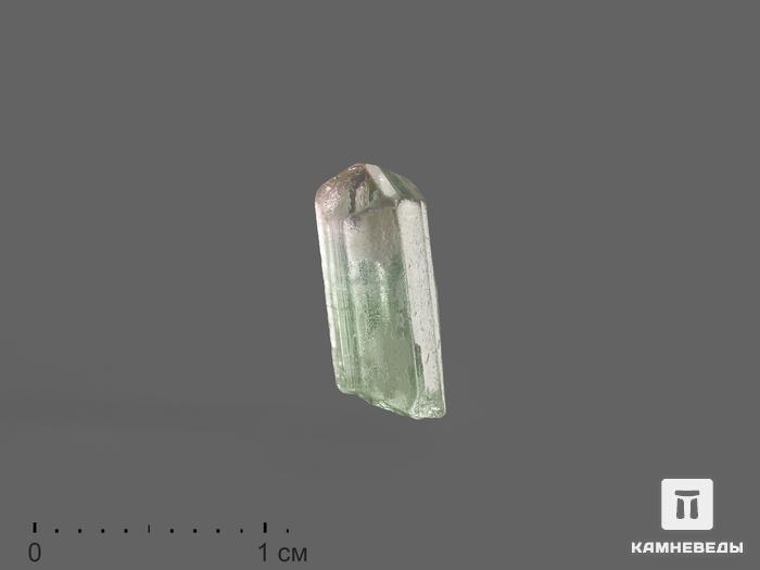 Турмалин полихромный, кристалл 1,2х0,5х0,4 см, 9859, фото 1