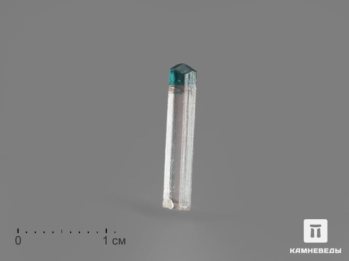 Турмалин полихромный, кристалл 1,5х0,3х0,2 см, 15080, фото 1