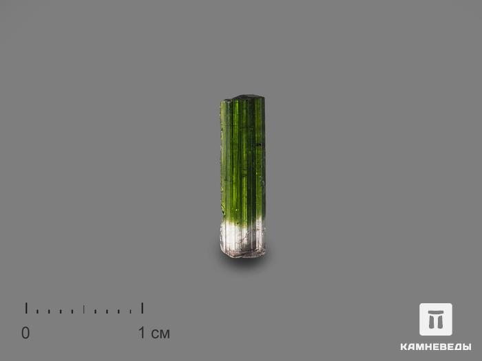 Турмалин полихромный, кристалл 1,4х0,4х0,3 см, 15083, фото 1