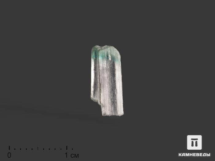 Турмалин полихромный, сросток кристаллов 1,3х0,5х0,4 см, 17219, фото 1