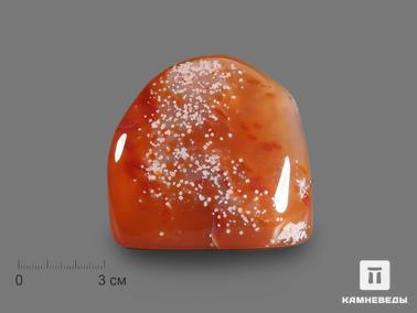 Сердолик. Сердолик, полировка 7х6,5х3,7 см
