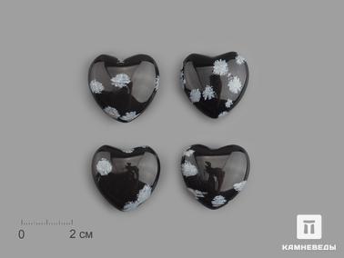 Обсидиан. Сердце из обсидиана снежного, 2,5x2,5х1,2 см