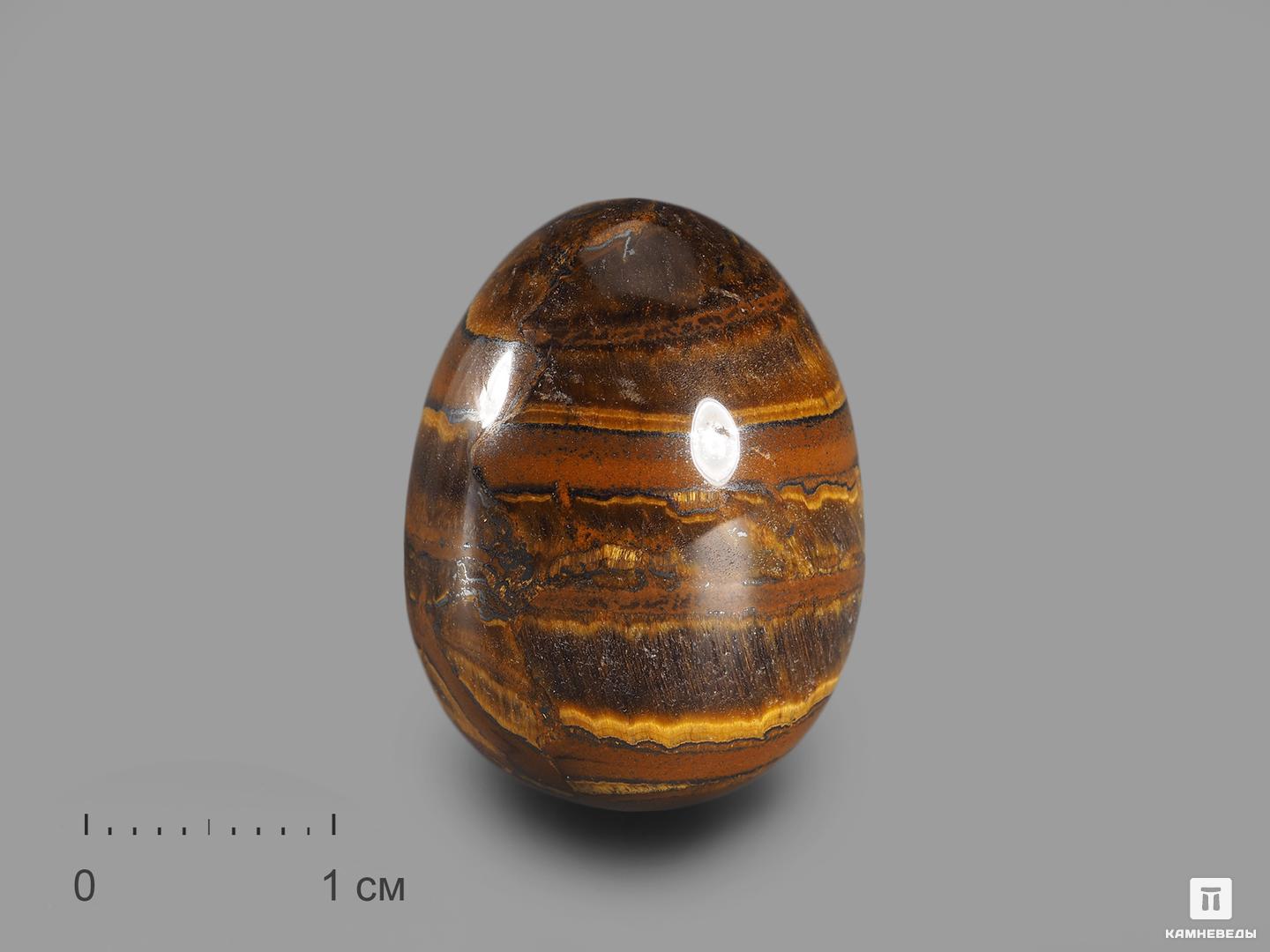 Яйцо из тигрового глаза с гематитом, 2,5х1,8 см айзек и яйцо