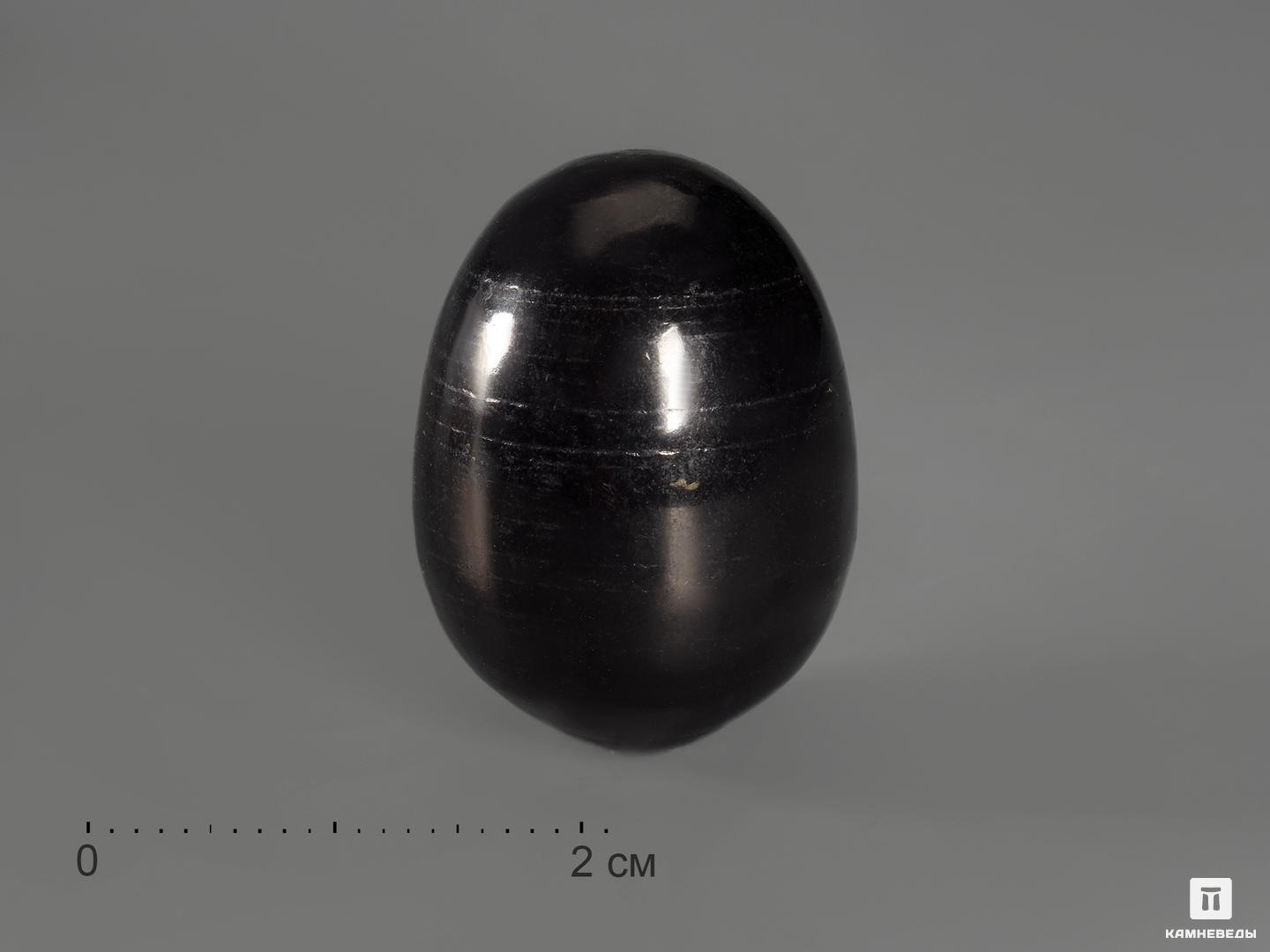 Яйцо из шунгита, 2,5х1,8 см, 22-4, фото 1
