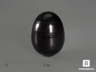 Шунгит. Яйцо из шунгита, 2,5х1,8 см