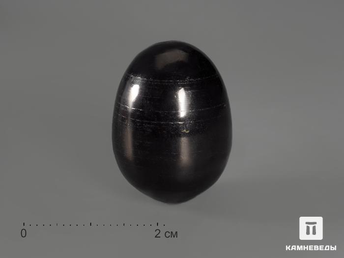 Яйцо из шунгита, 2,5х1,8 см, 22-4, фото 1