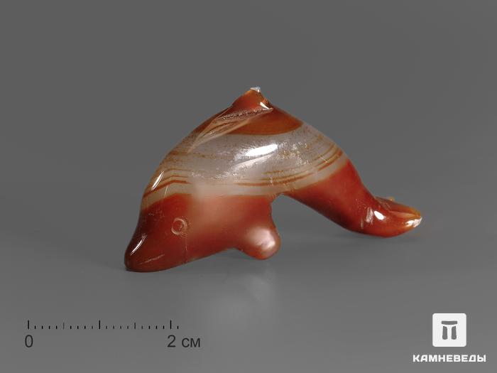 Дельфин из сердолика, 4,8х2,6х1,3 см, 17238, фото 1