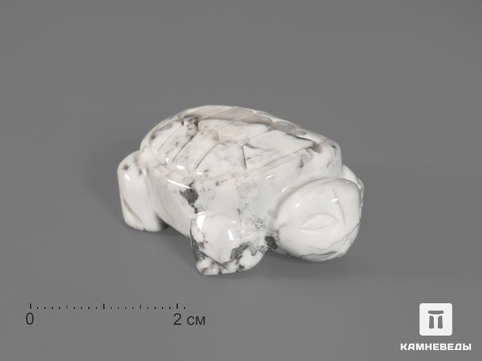 Черепаха из магнезита, 4х2,8х1,6 см, 23-62, фото 1