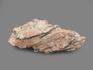 Юкспорит, 34,5х18х3 см, 17274, фото 2