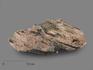 Юкспорит, 34,5х18х3 см, 17274, фото 1