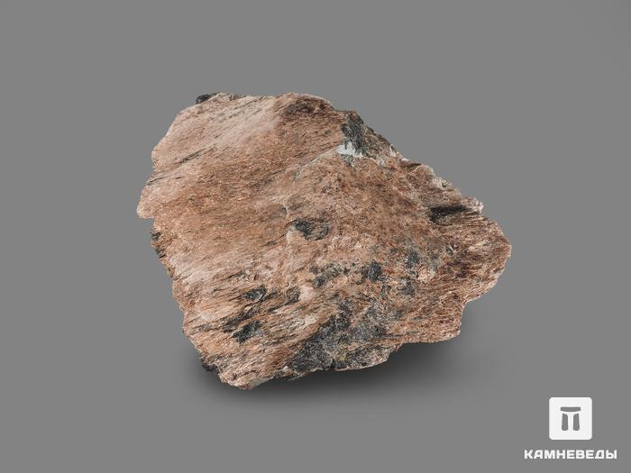 Юкспорит, 24х20х5,5 см, 17275, фото 2