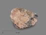Юкспорит, 24х20х5,5 см, 17275, фото 1