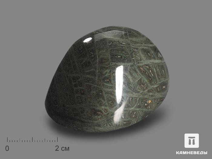 Тингуаит, полированная галька 5,6х3,9х3 см, 17370, фото 1