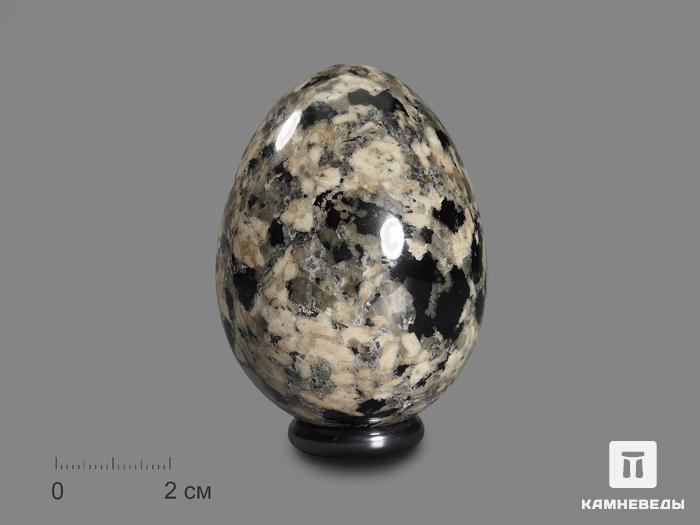Яйцо из хибинита, 6,8х5 см, 17381, фото 1