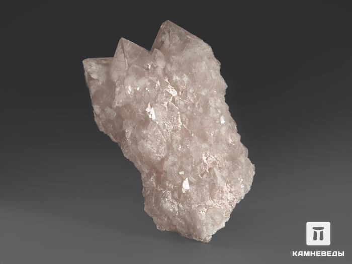 Кварц кактусовидный, сросток кристаллов 11,7х7,8х7,4 см, 17425, фото 2
