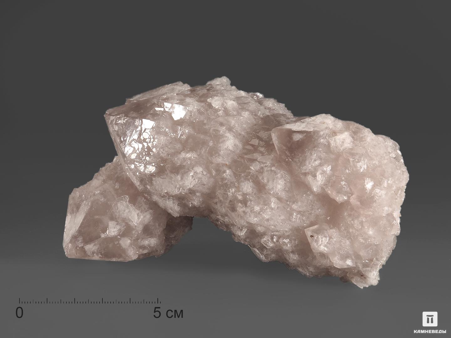 Кварц кактусовидный, сросток кристаллов 12х10,5х6,8 см кварц сросток двухголовых кристаллов 10 8х5 5х4 8 см