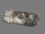 Горный хрусталь (кварц) с хлоритом, кристалл 11х3,7х3,2 см, 10-93/24, фото 2