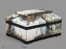 Шкатулка из дендритового агата, 13х10х7,3 см, 6171, фото 1