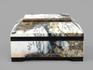 Шкатулка из дендритового агата, 13х10х7,3 см, 6171, фото 2