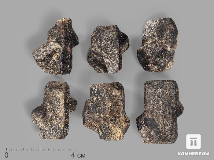 Ставролит, кристалл 3-3,5 см, 17576, фото 1