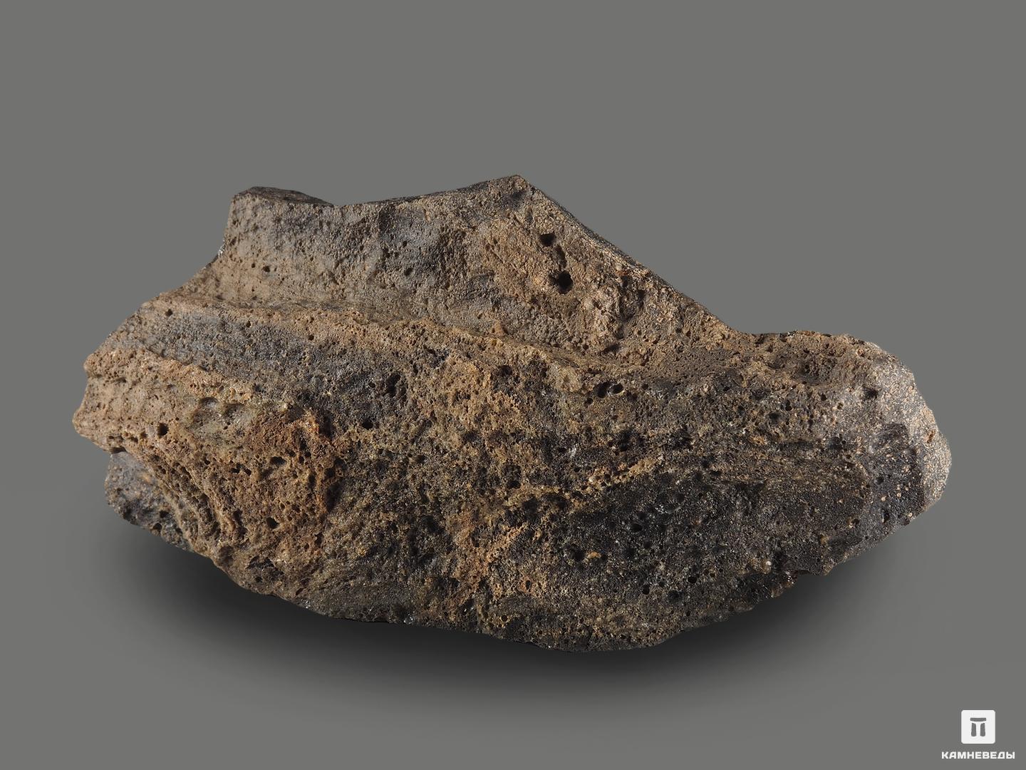 Жаманшинит (импактит), 12,8х6,4х3,4 см, 17565, фото 2