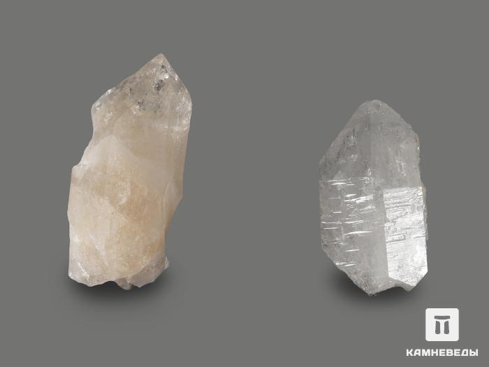 Горный хрусталь (кварц), кристалл 6-8 см, 10-93/31, фото 6