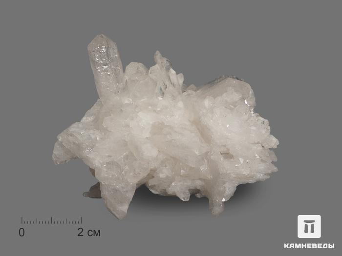 Кварц, сросток кристаллов  7-9 см, 17463, фото 1