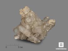 Кварц кактусовидный, друза 9,5х7х6,2 см