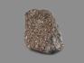 Титанит, 14,5х12х7,5 см, 17641, фото 2